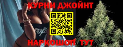 PSILOCYBIN Жуковский