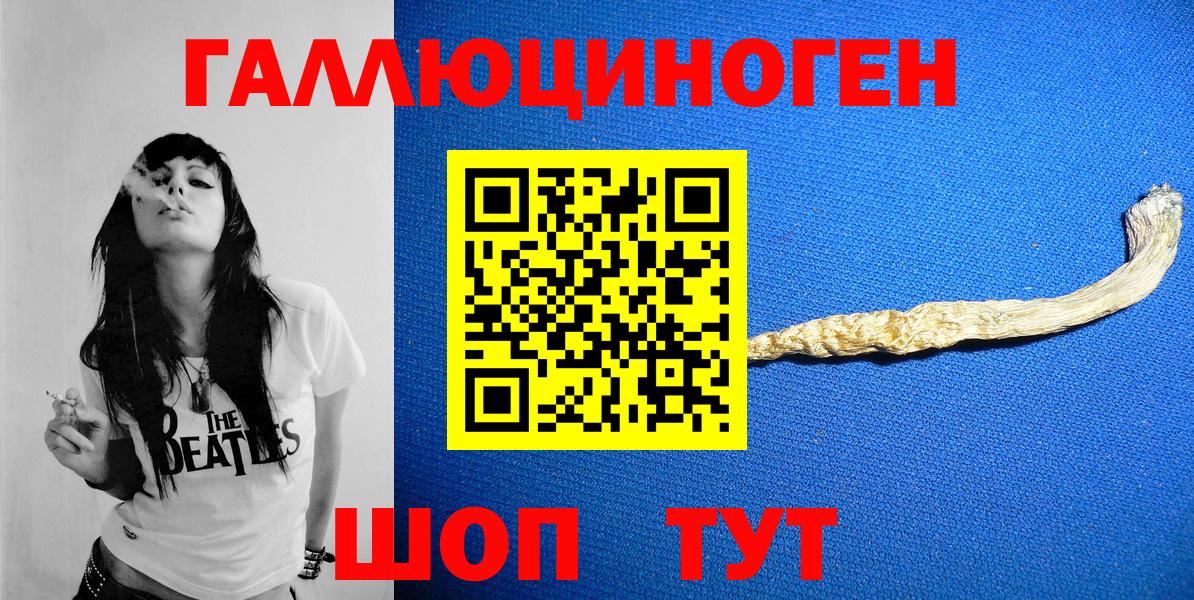 Галлюциногенные грибы Cubensis Курчатов